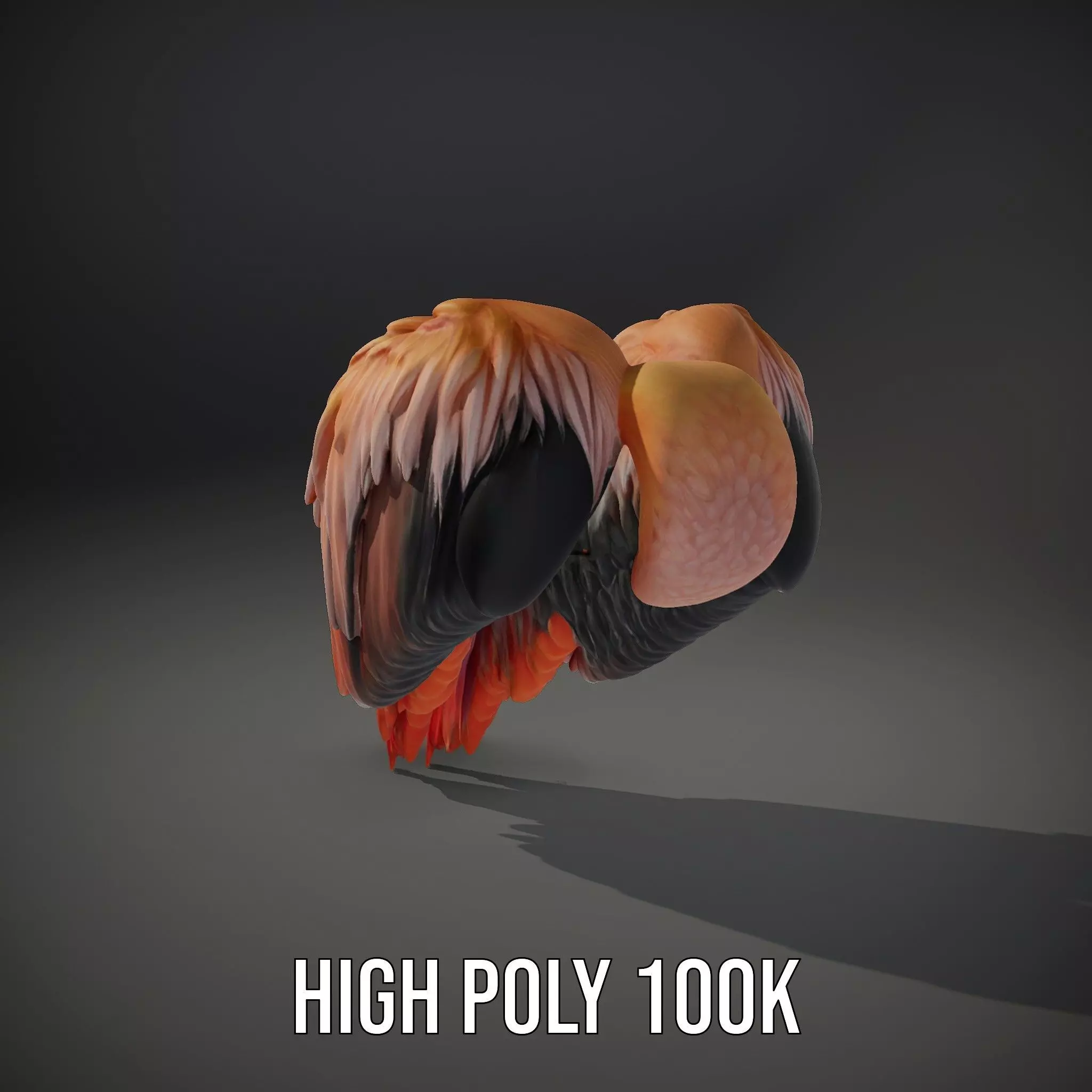 Feathered Wing model pack Low-poly 3D model_10