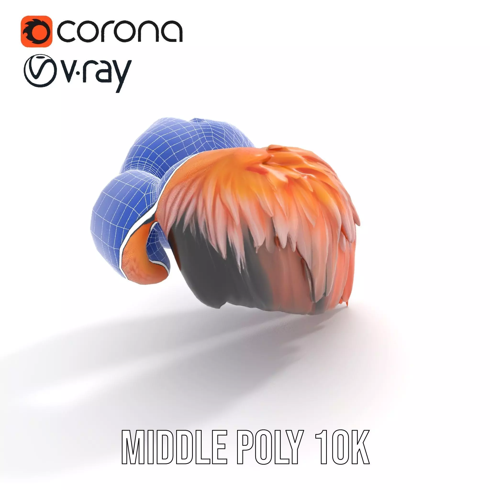 Feathered Wing model pack Low-poly 3D model_29