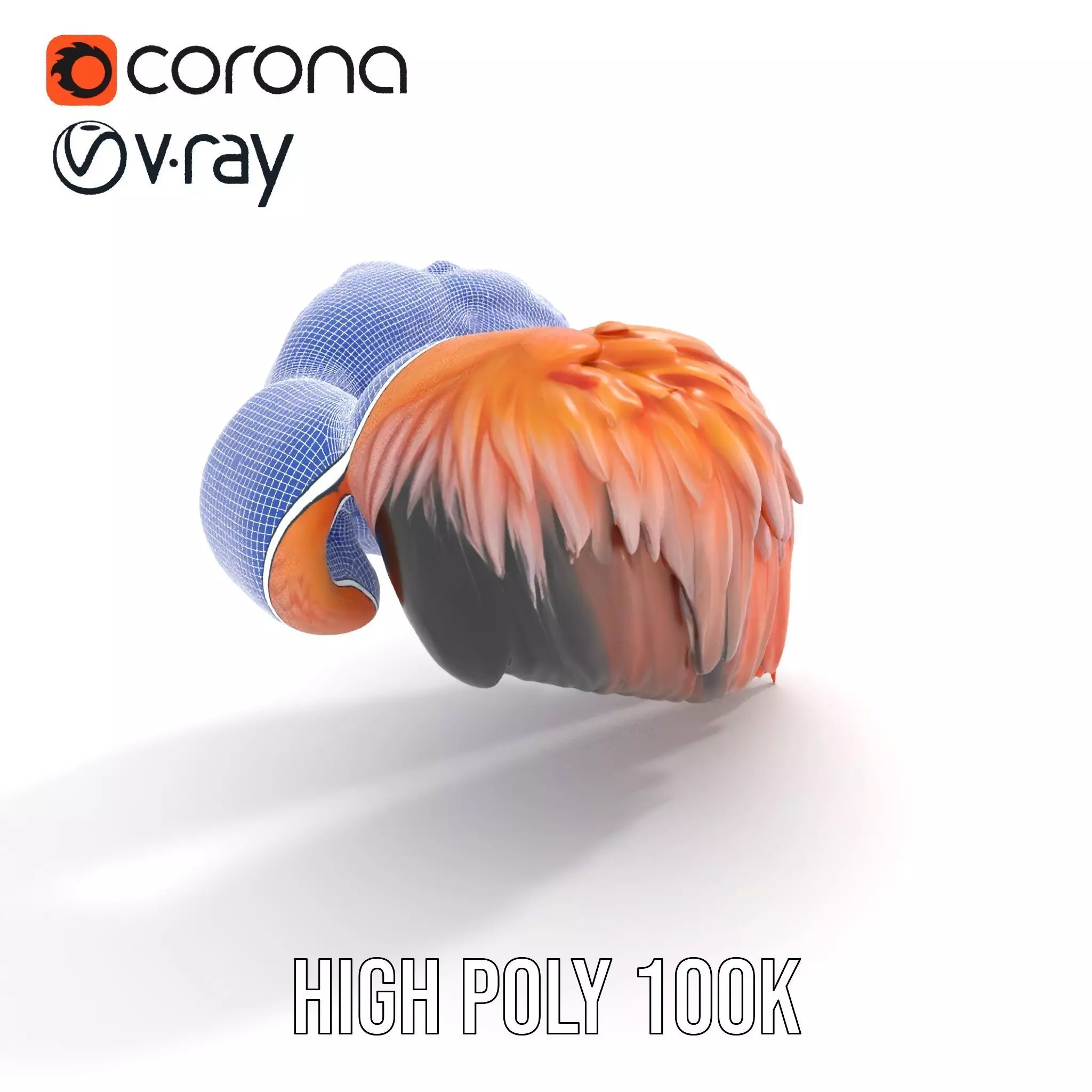 Feathered Wing model pack Low-poly 3D model_23