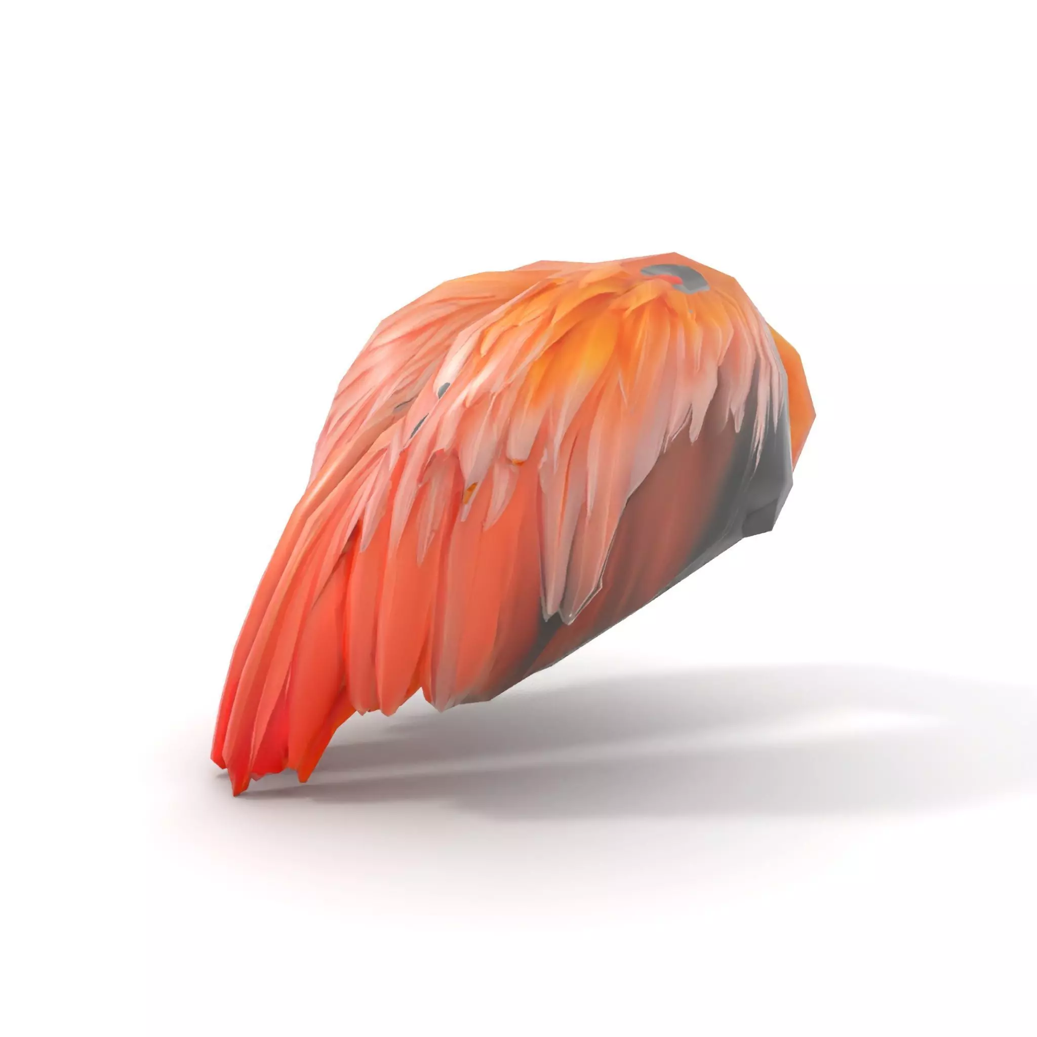 Feathered Wing model pack Low-poly 3D model_12