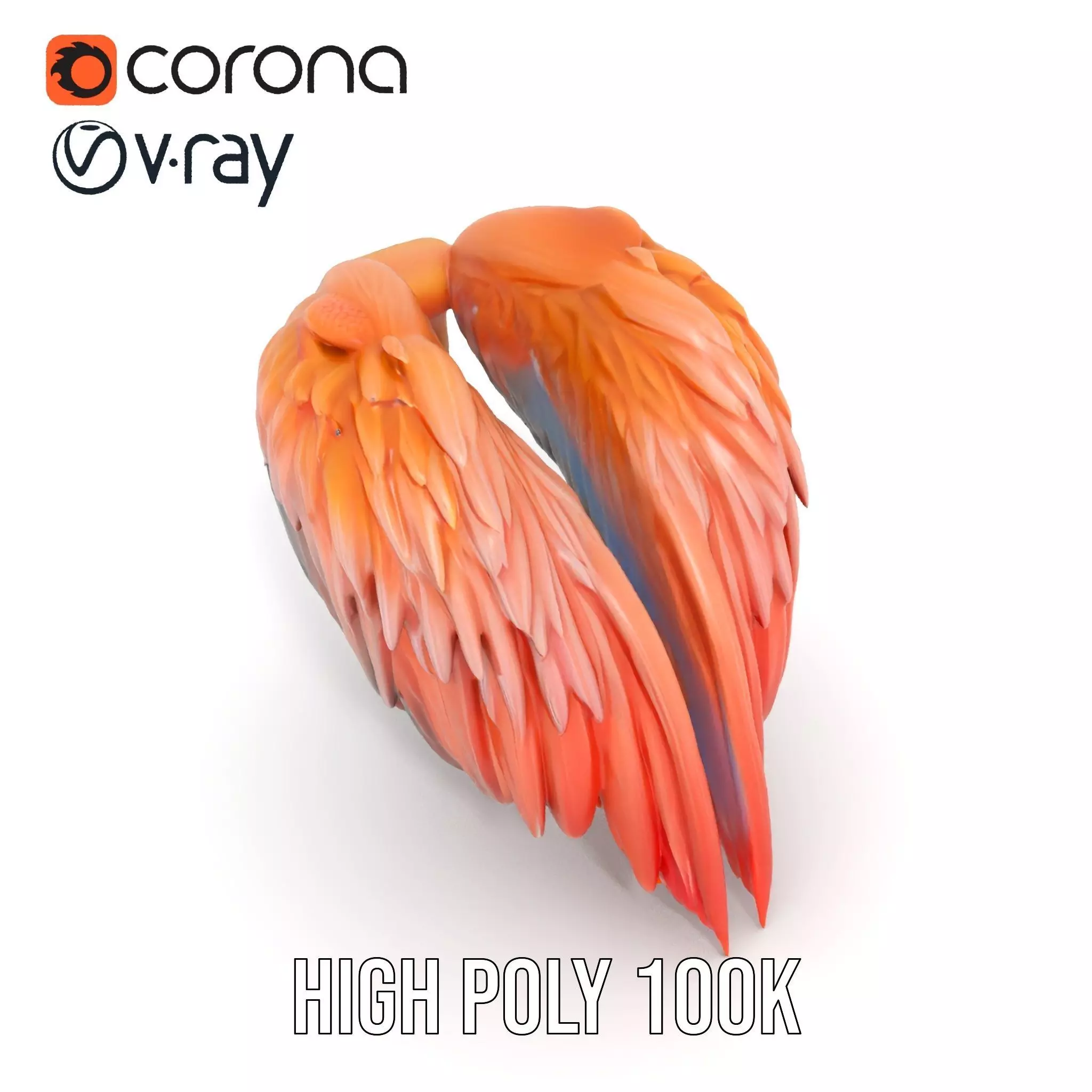 Feathered Wing model pack Low-poly 3D model_20