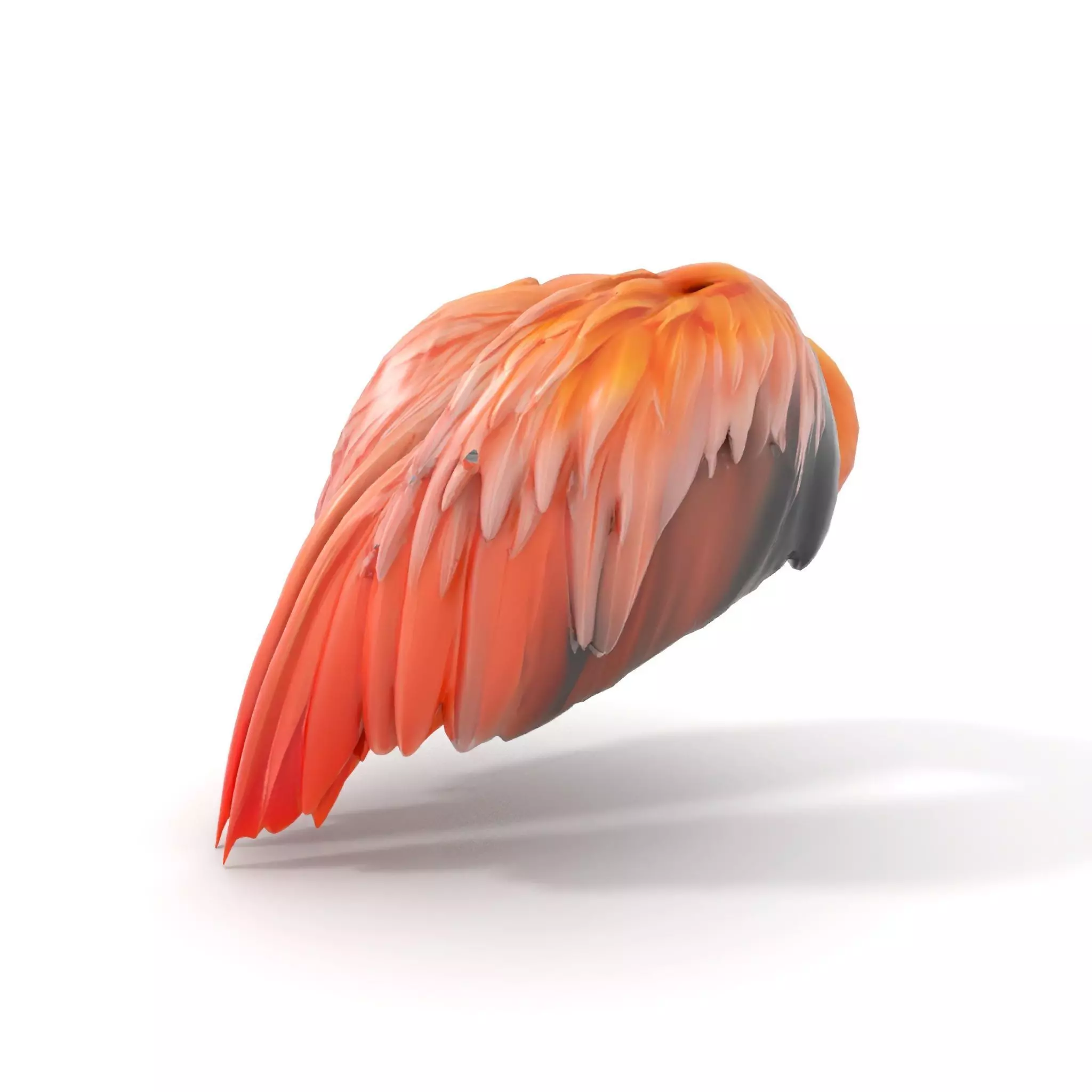 Feathered Wing model pack Low-poly 3D model_6