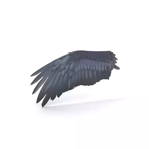 Black Feathered Wing model pack