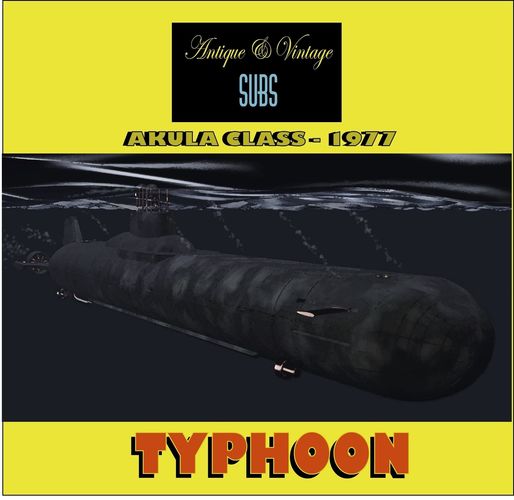 Typhoon Akula Class 3D model