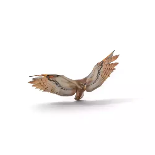 Majestic Owl Flight model pack