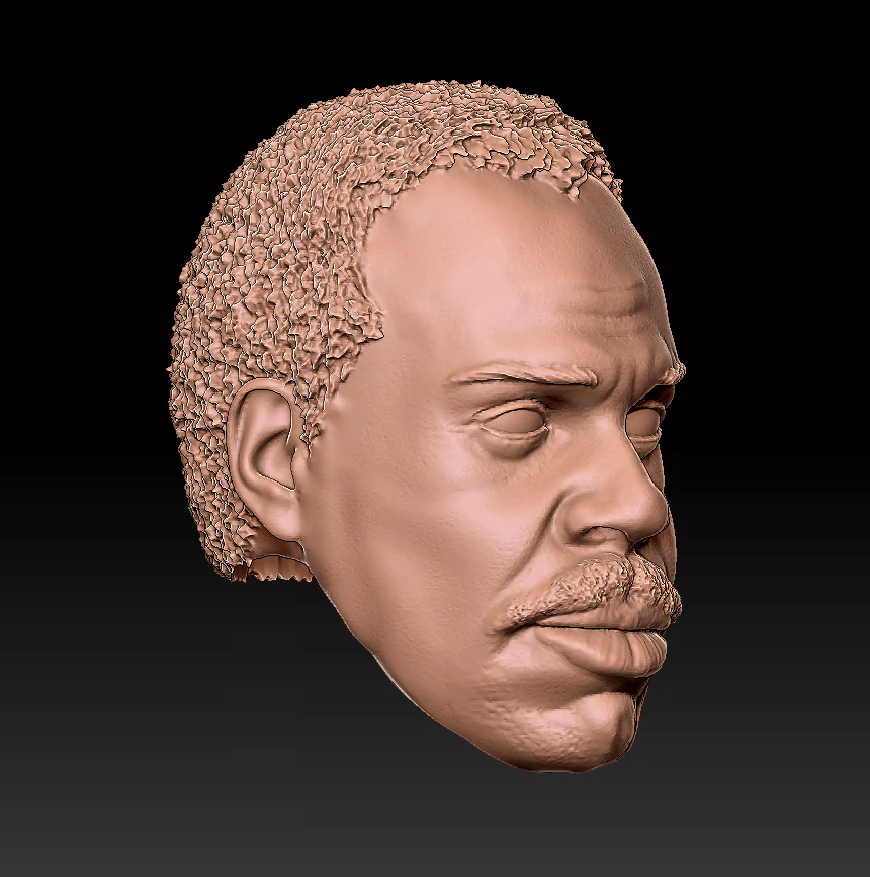 Danny Glover Murtaugh 3D print model_2