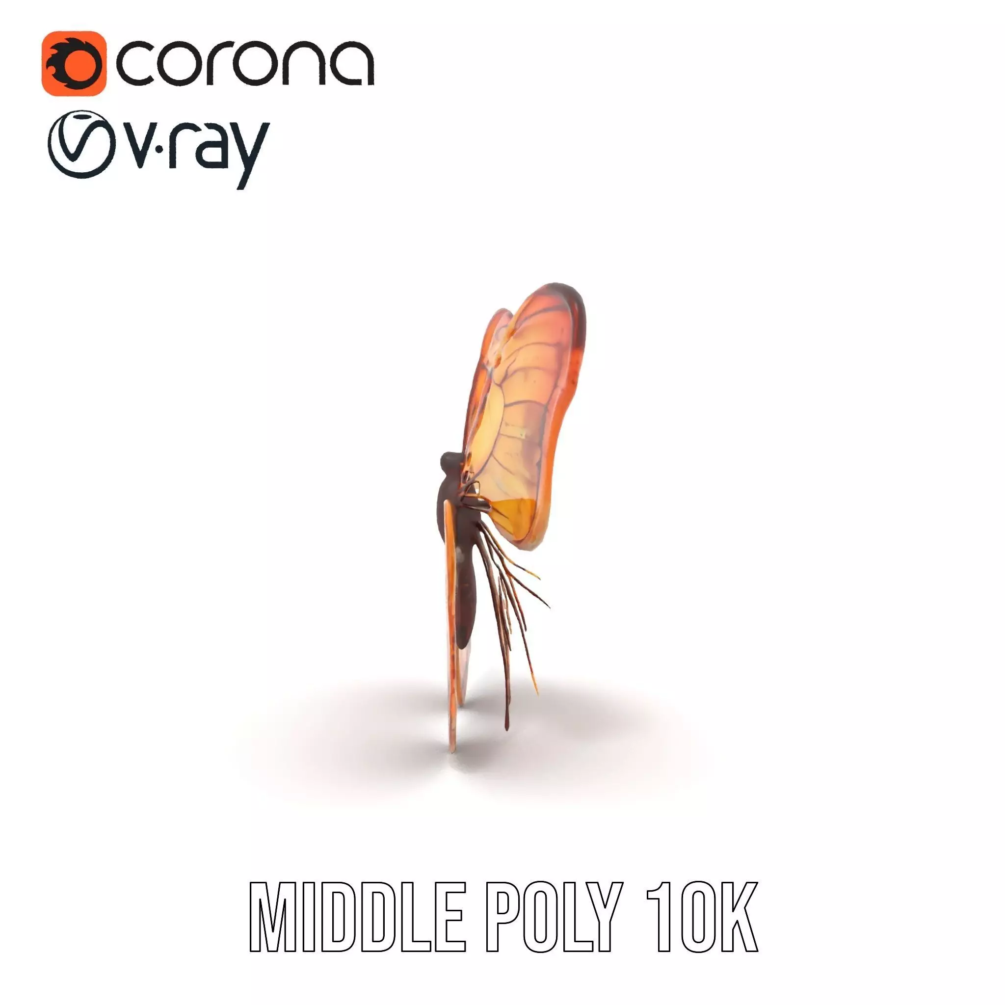 Elegant Monarch Butterfly model pack Low-poly 3D model_11