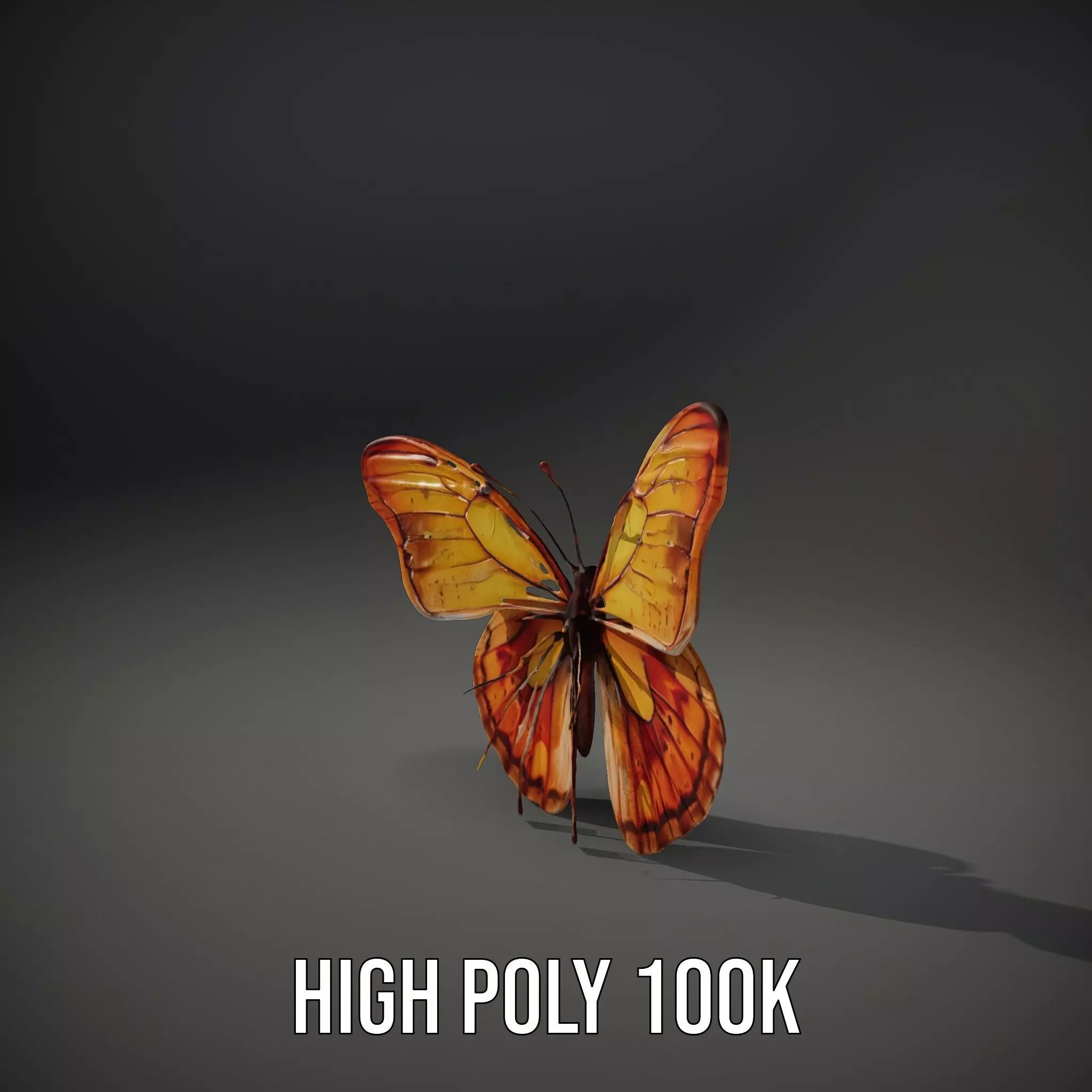 Elegant Monarch Butterfly model pack Low-poly 3D model_8