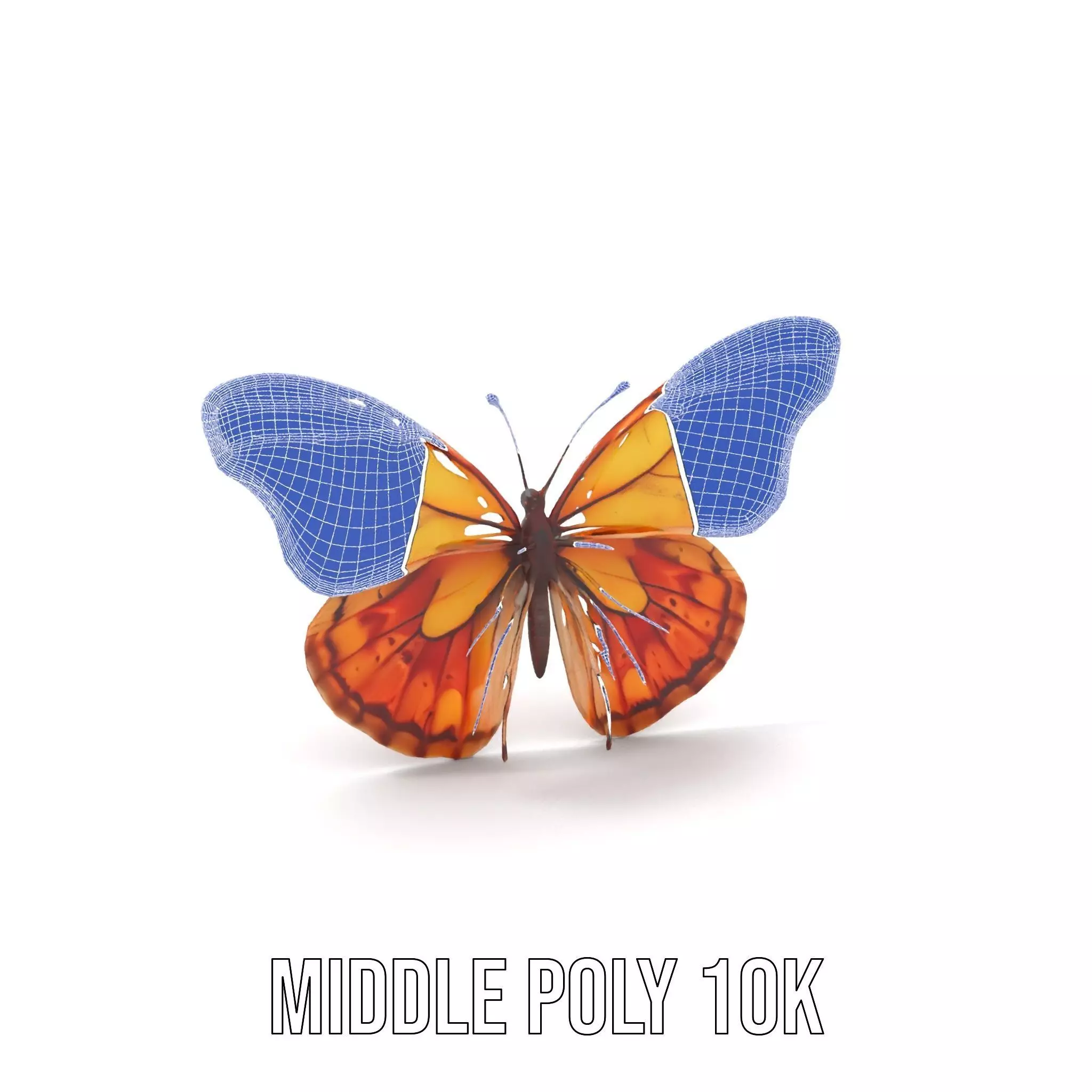 Elegant Monarch Butterfly model pack Low-poly 3D model_15
