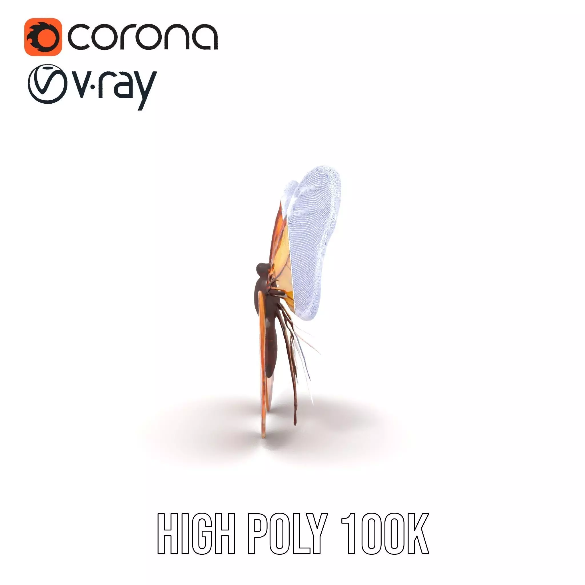 Elegant Monarch Butterfly model pack Low-poly 3D model_34