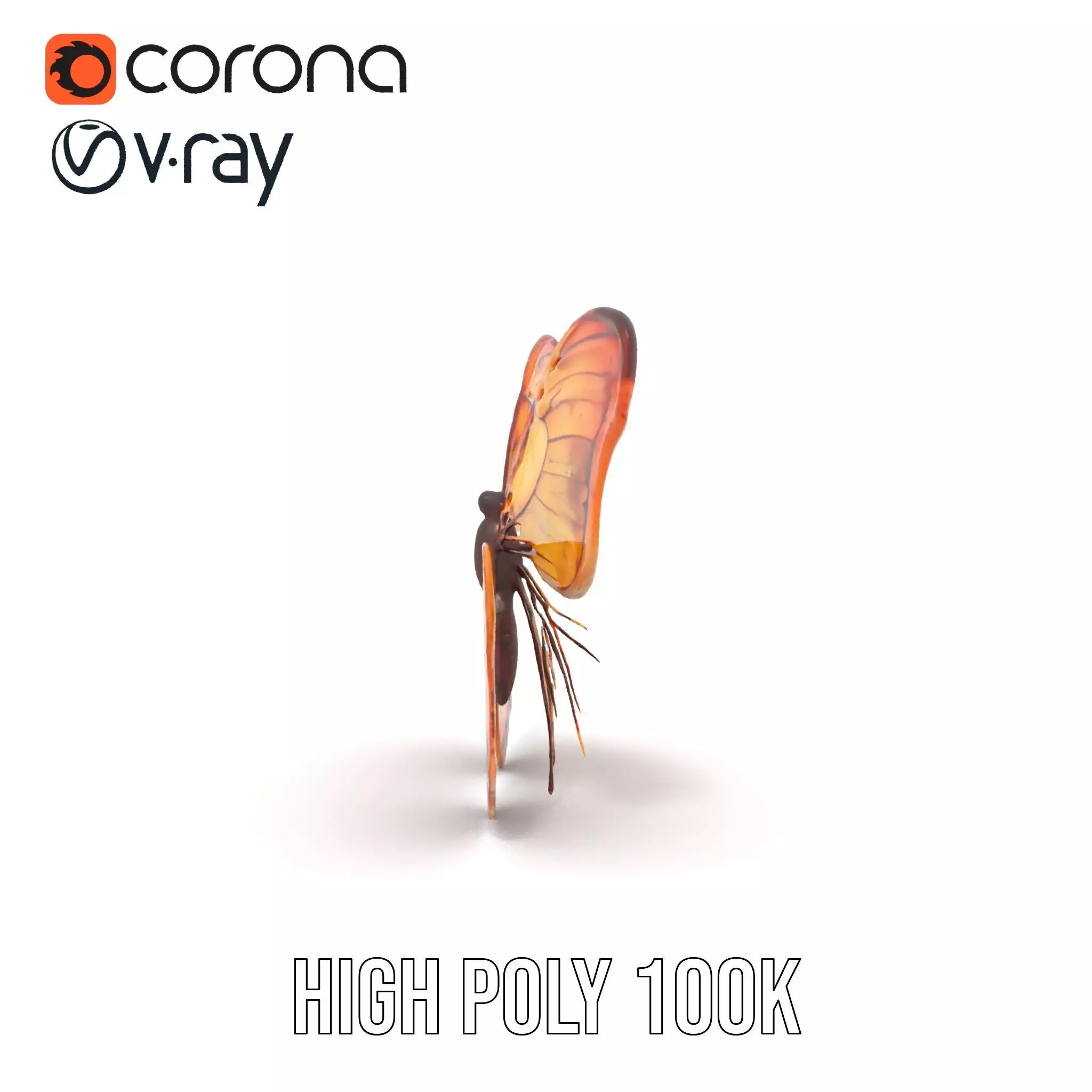 Elegant Monarch Butterfly model pack Low-poly 3D model_31