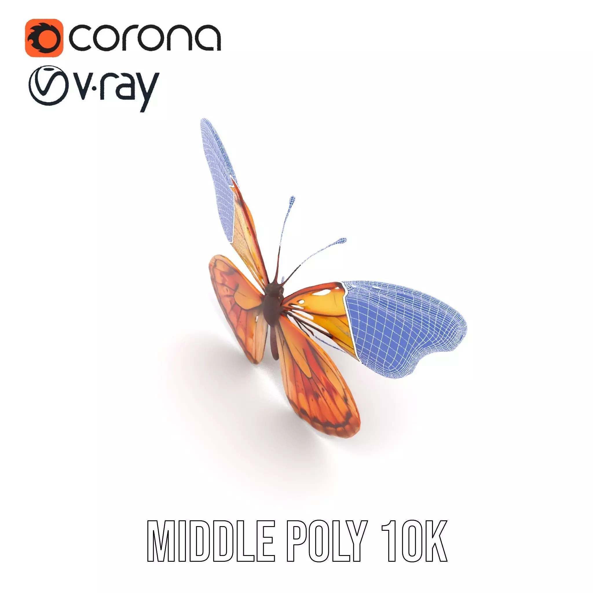 Elegant Monarch Butterfly model pack Low-poly 3D model_26