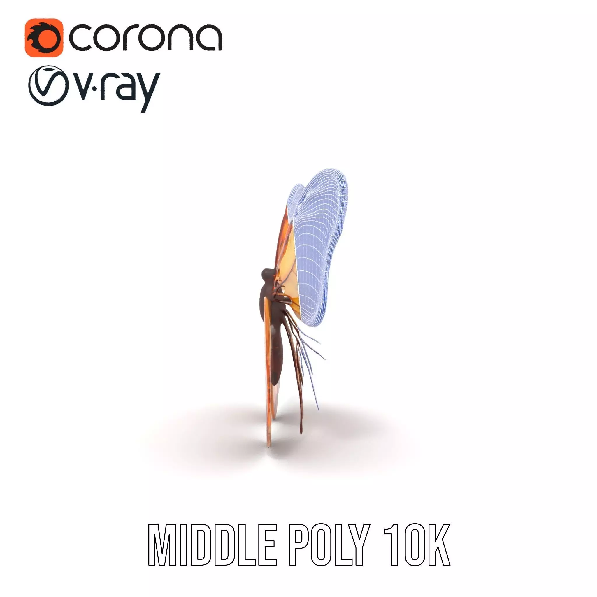 Elegant Monarch Butterfly model pack Low-poly 3D model_23