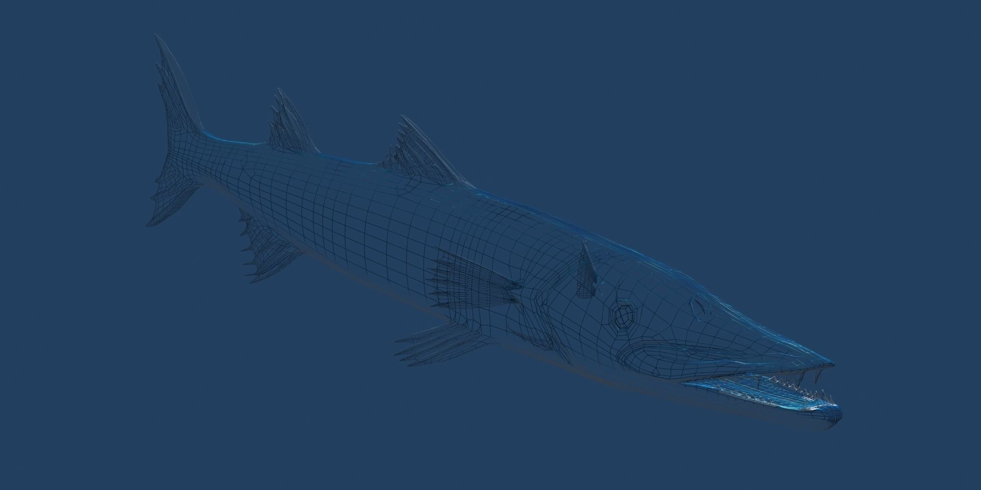 Barracuda fish with long fins 3D model_4