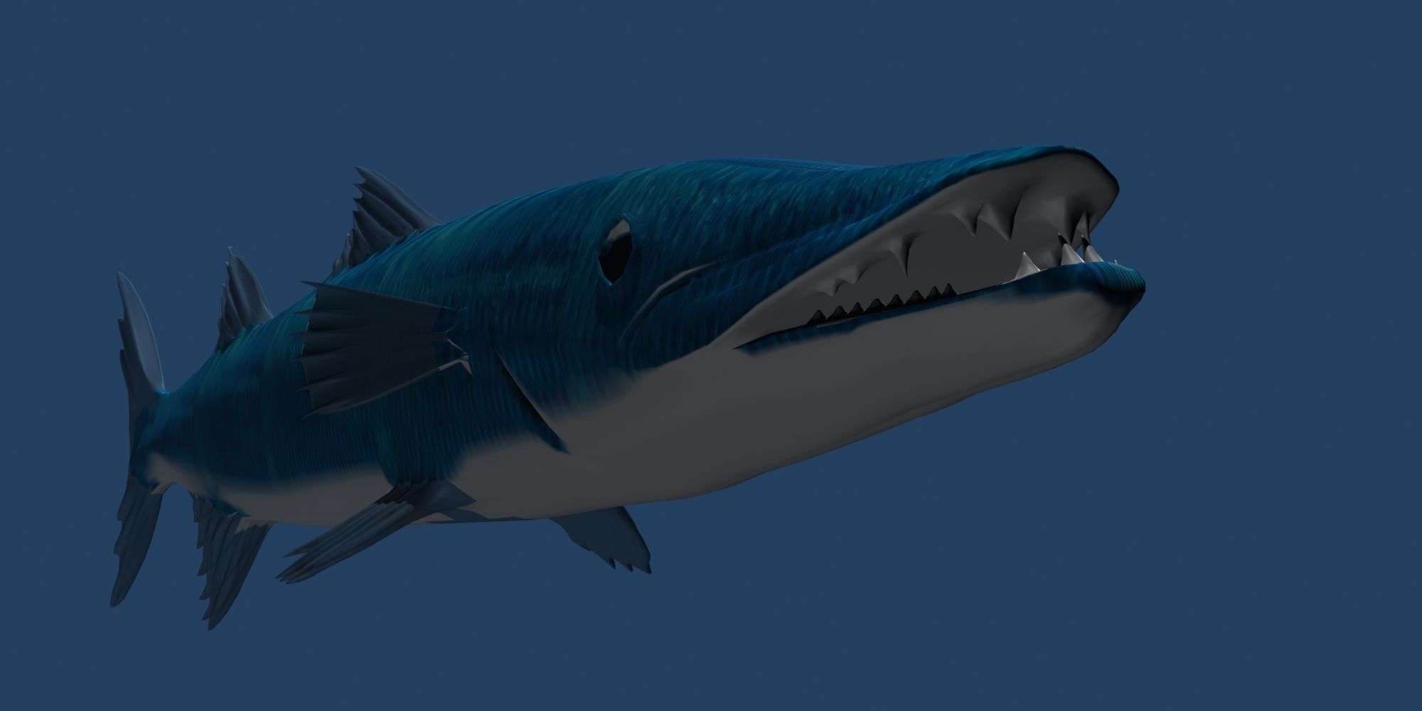 Barracuda fish with long fins 3D model_2