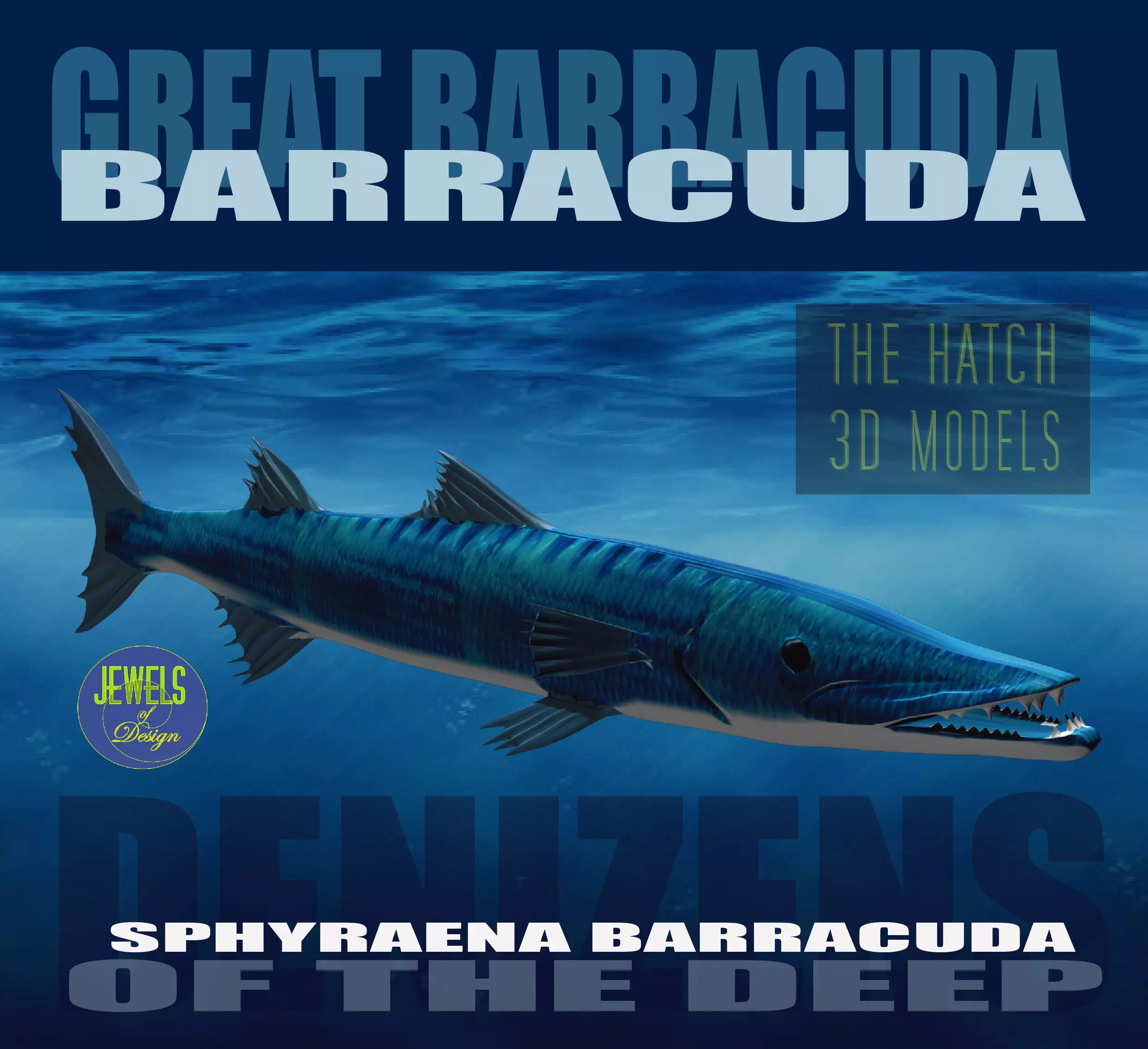 Barracuda fish with long fins 3D model_0