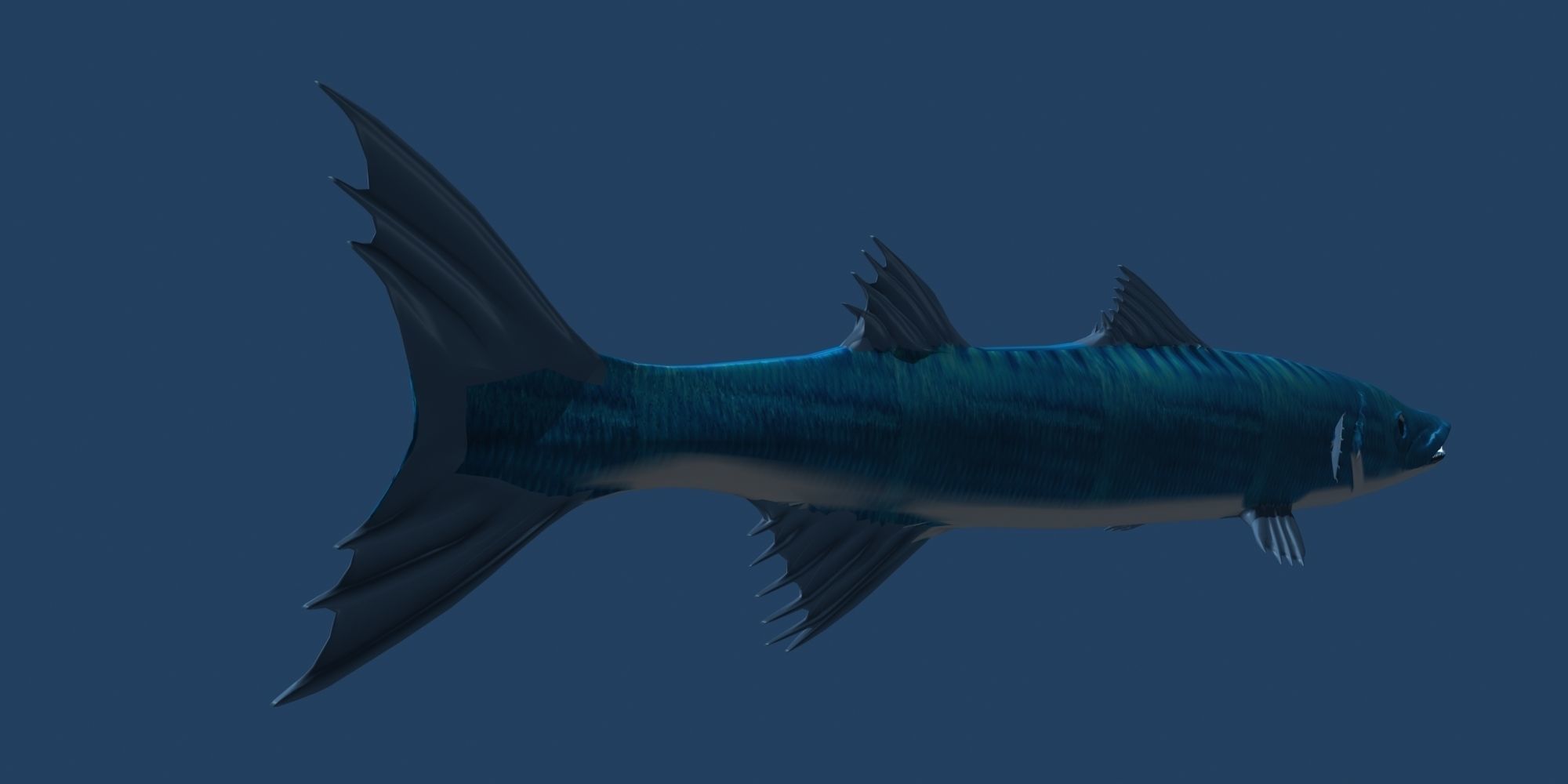 Barracuda fish with long fins 3D model_1