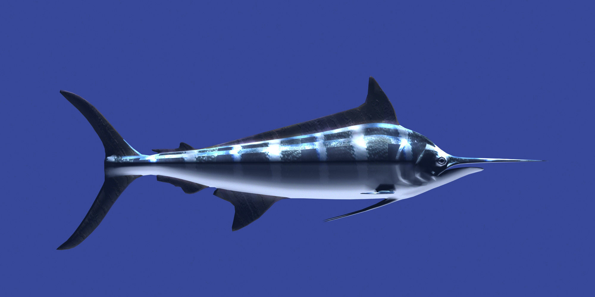 Marlin fish flying 3D model_3