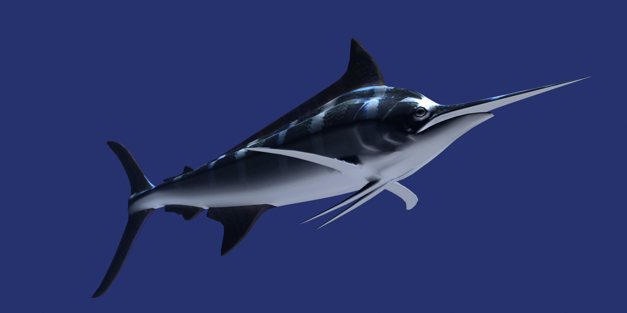 Marlin fish flying 3D model_2