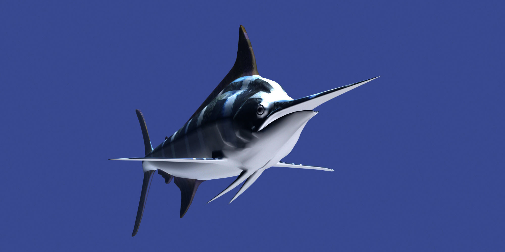 Marlin fish flying 3D model_5