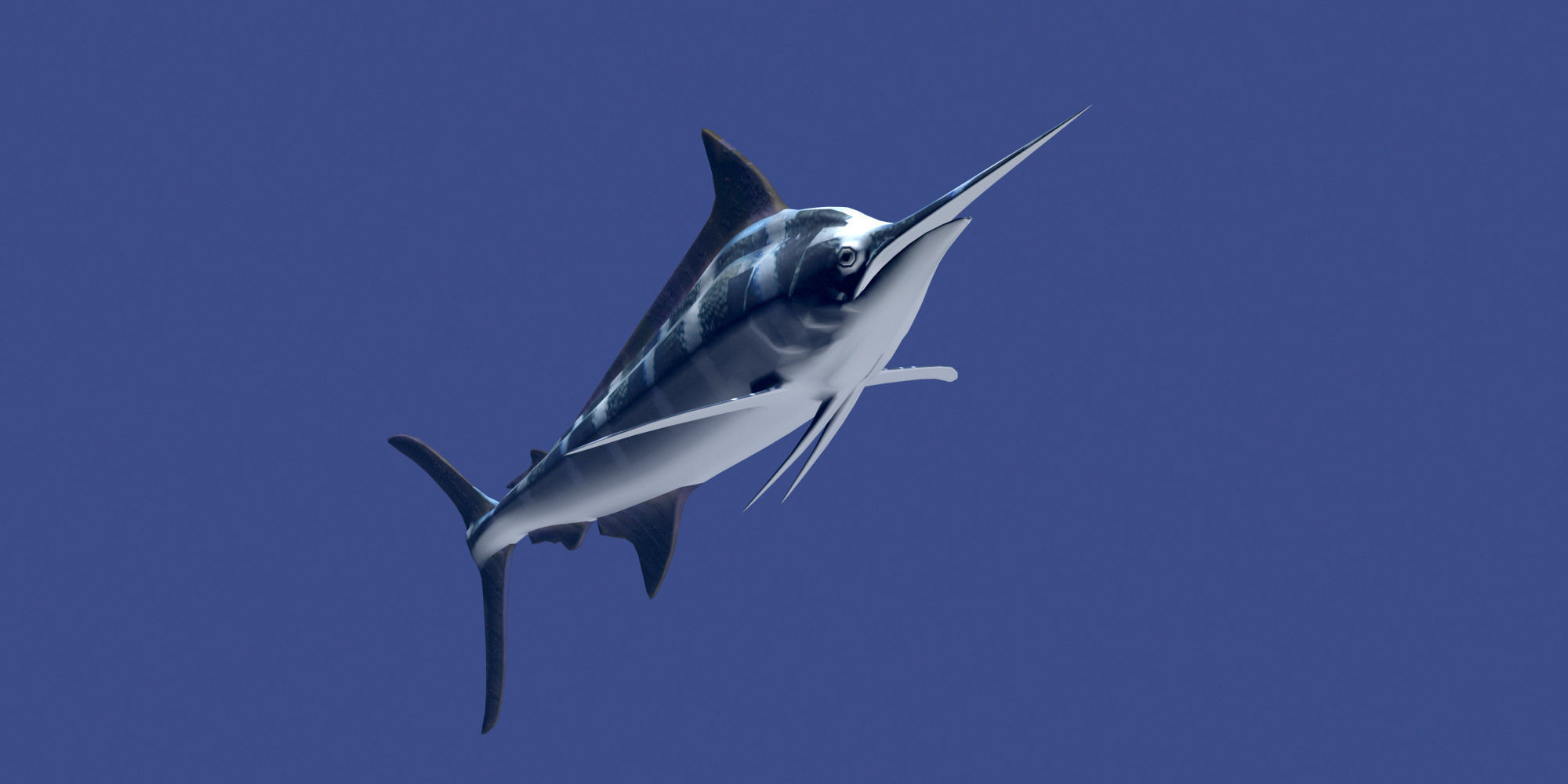 Marlin fish flying 3D model_7