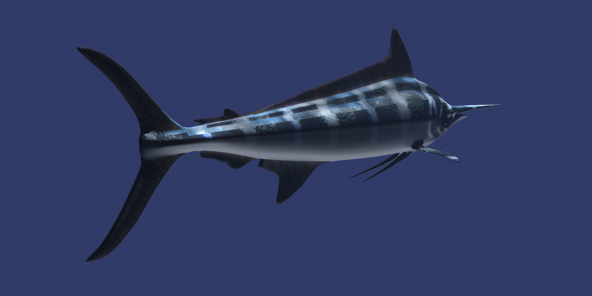 Marlin fish flying 3D model_1
