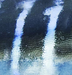 Marlin fish flying 3D model_10