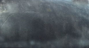 Right Whale 3D model_8