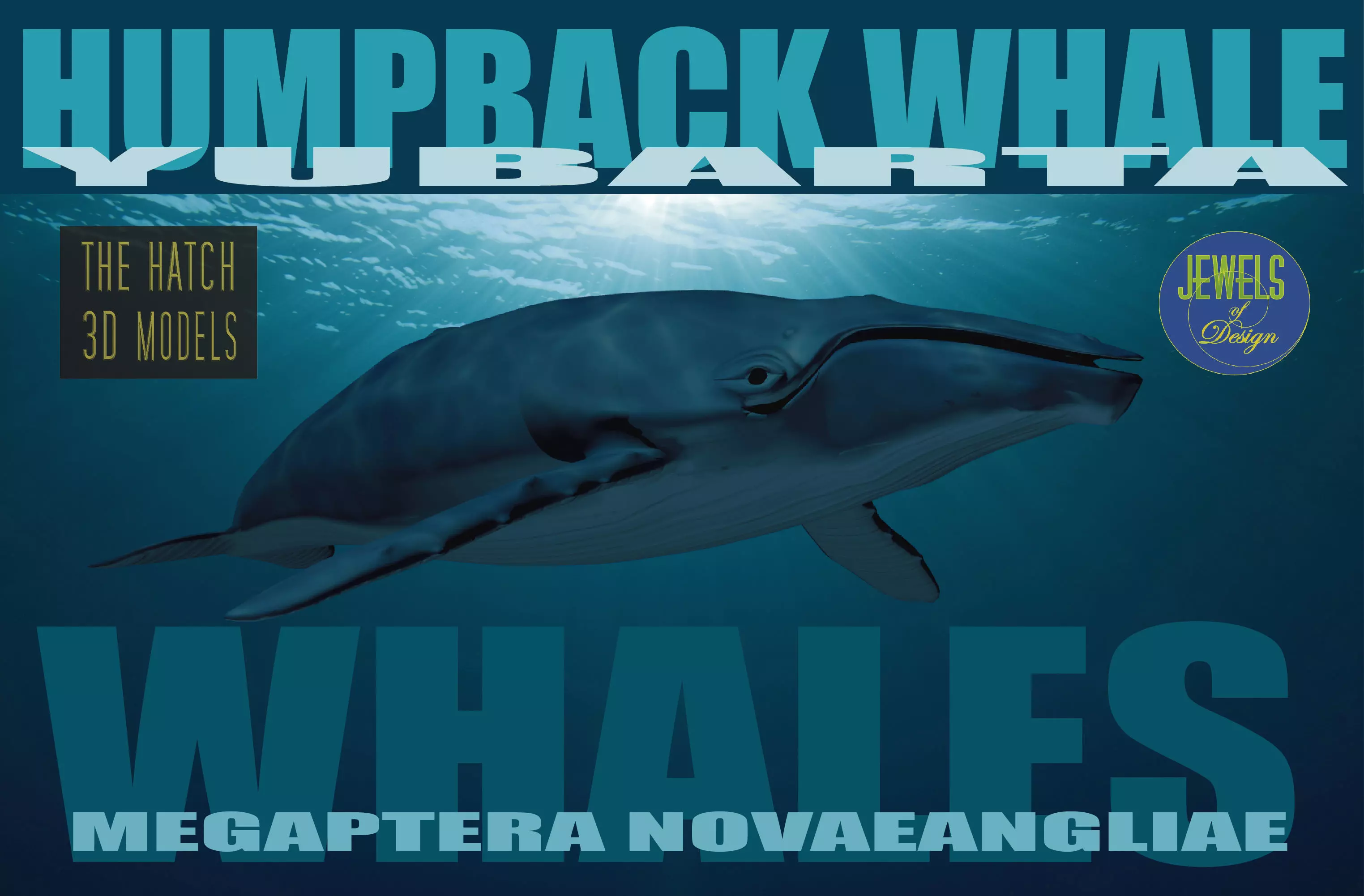 Humpback Whale 3D model_0