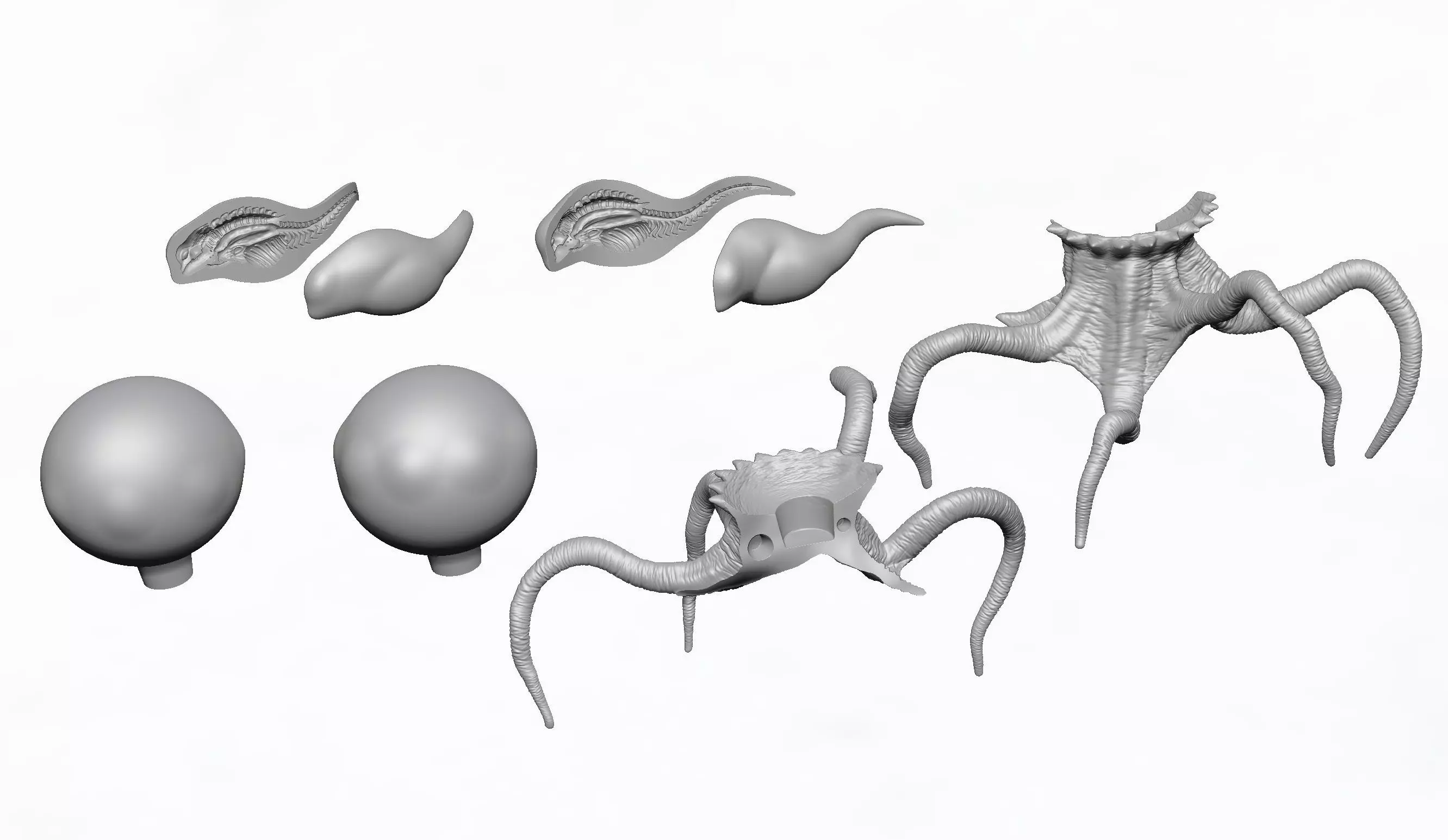 Alien Earth T Ocellus Xeno Embryo 3D stl file 3D print model_7