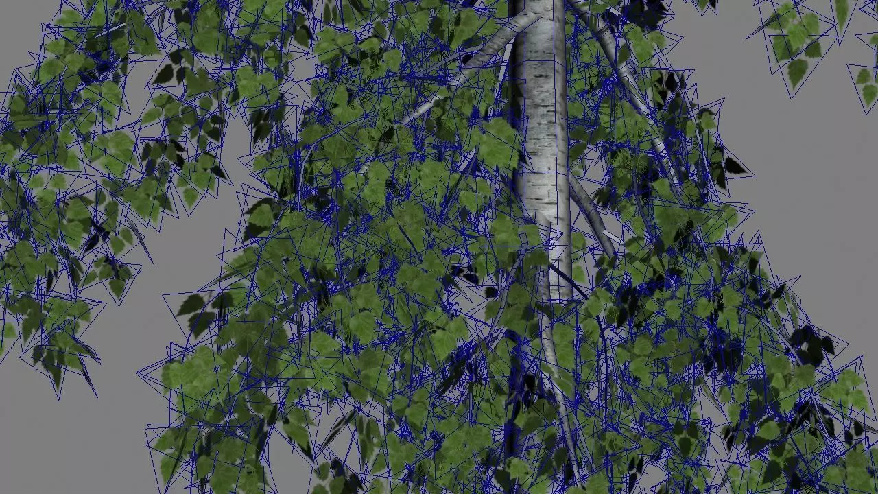 betula trees low poly Low-poly 3D model_7