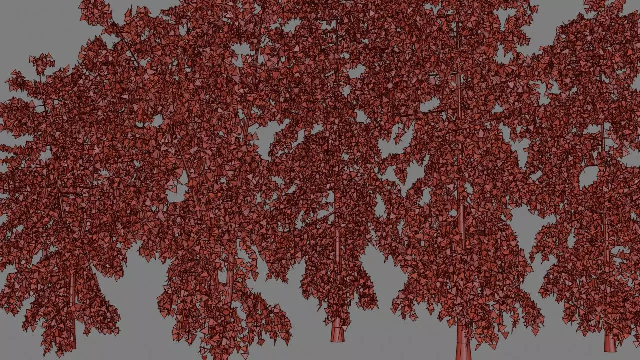 betula trees low poly Low-poly 3D model_6