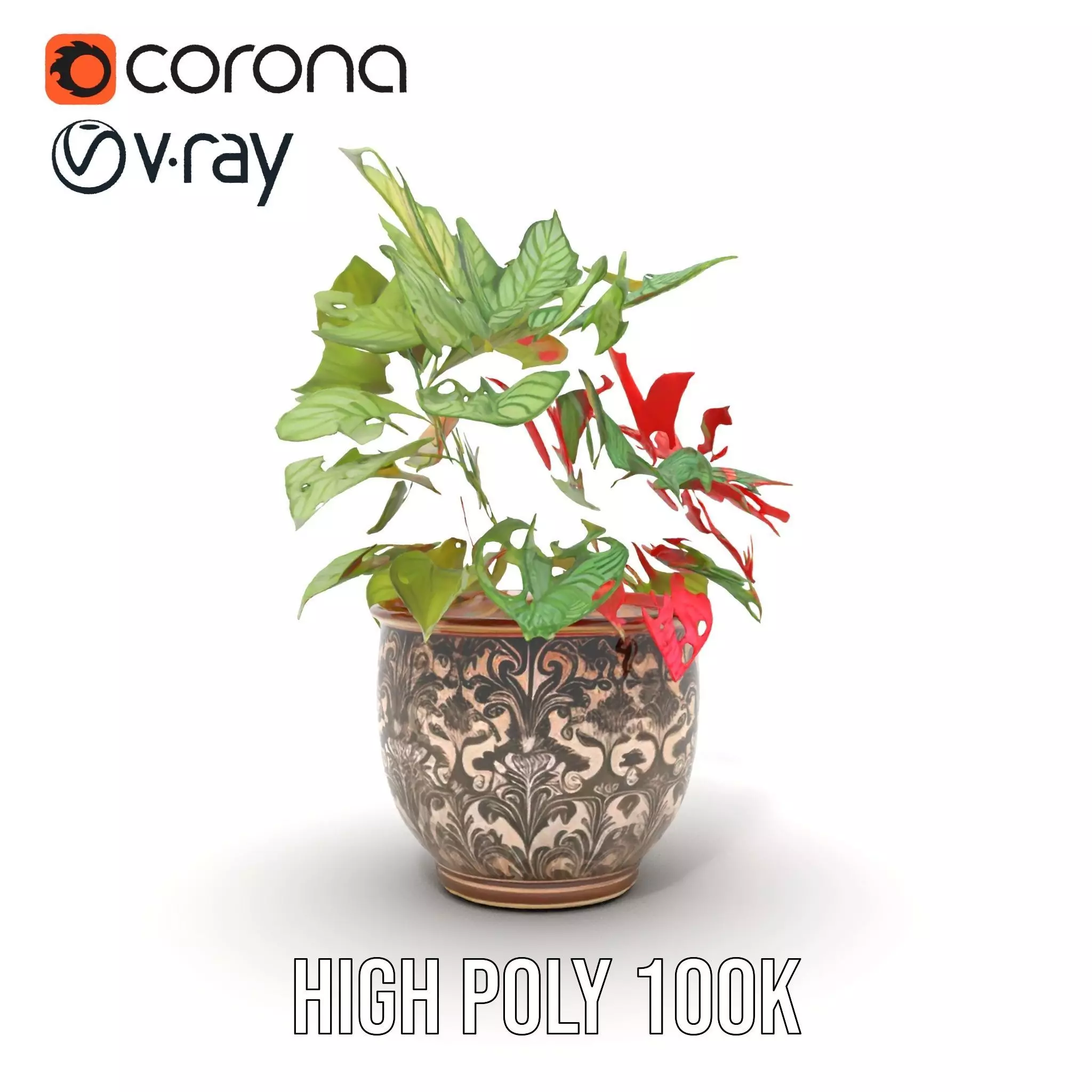 Ornate Leafy Plant model pack Low-poly 3D model_15