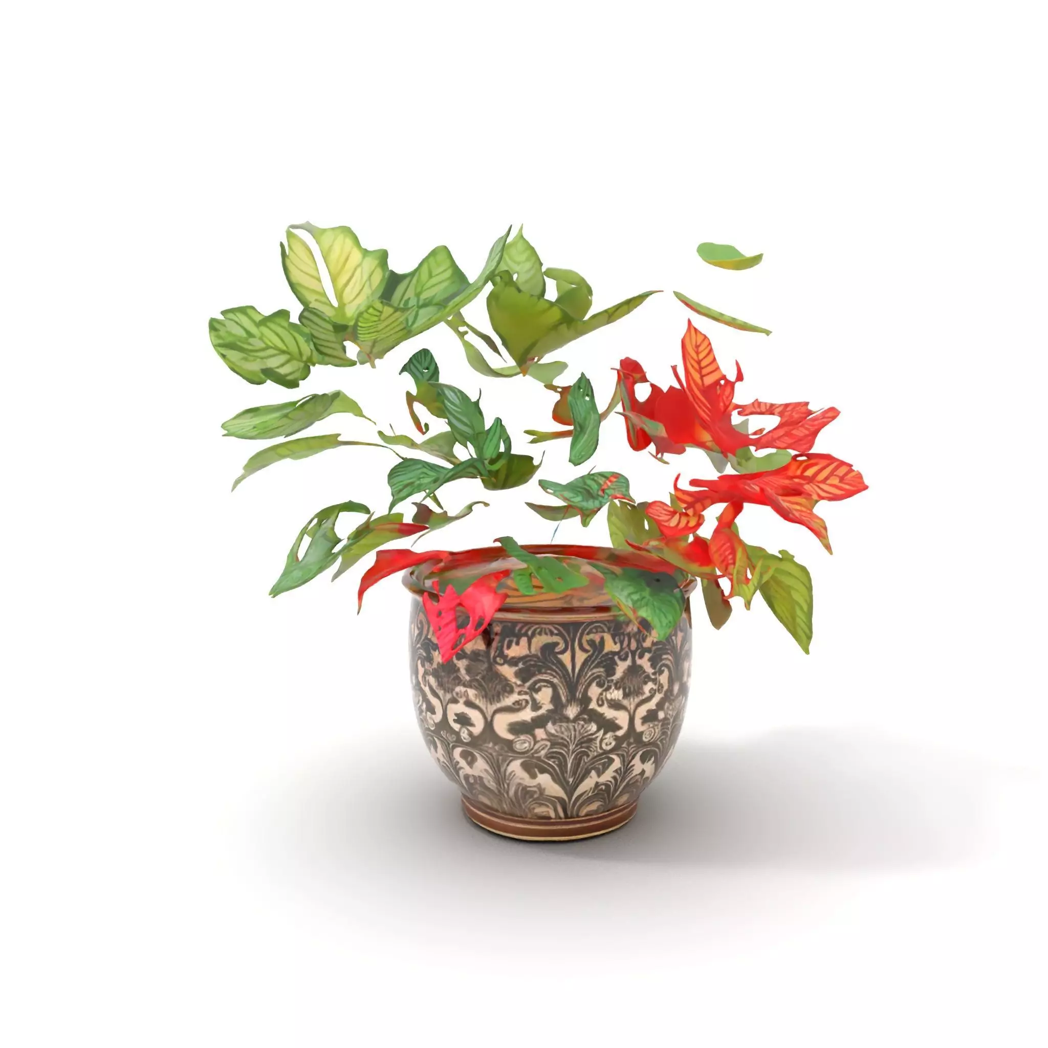 Ornate Leafy Plant model pack Low-poly 3D model_0