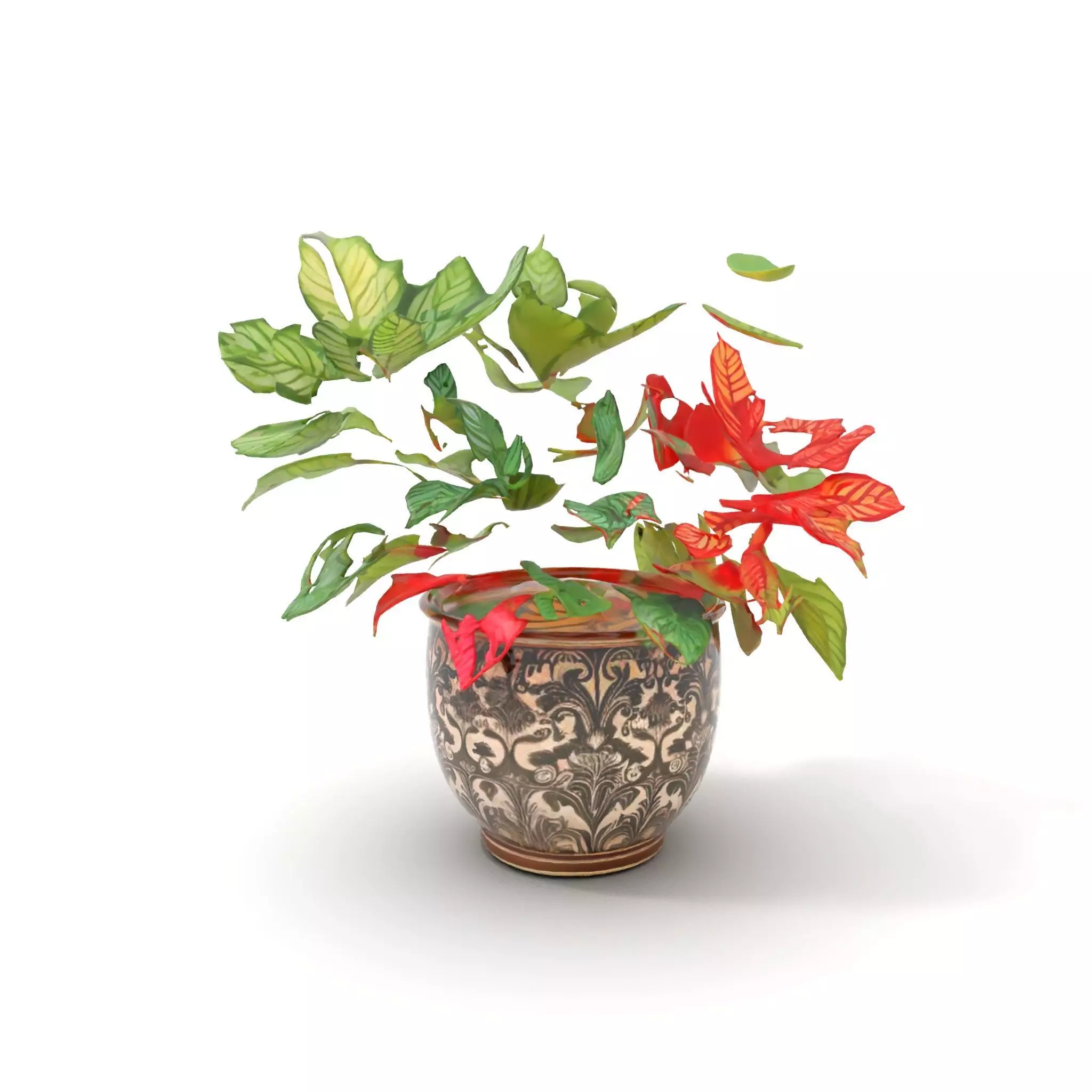 Ornate Leafy Plant model pack Low-poly 3D model_5