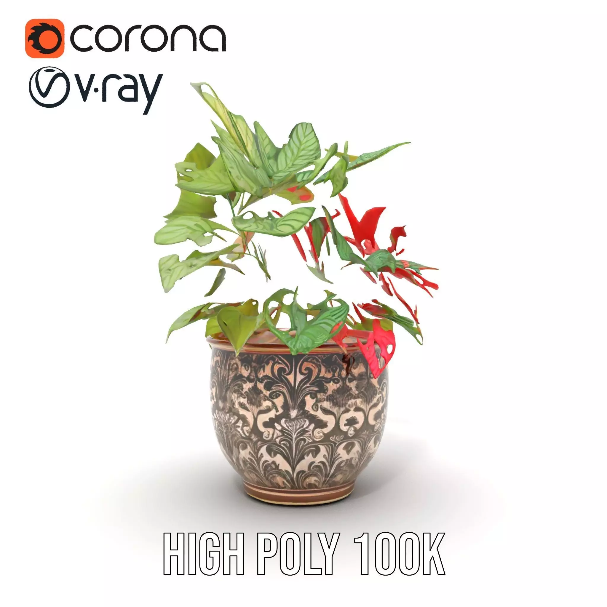 Ornate Leafy Plant model pack Low-poly 3D model_11