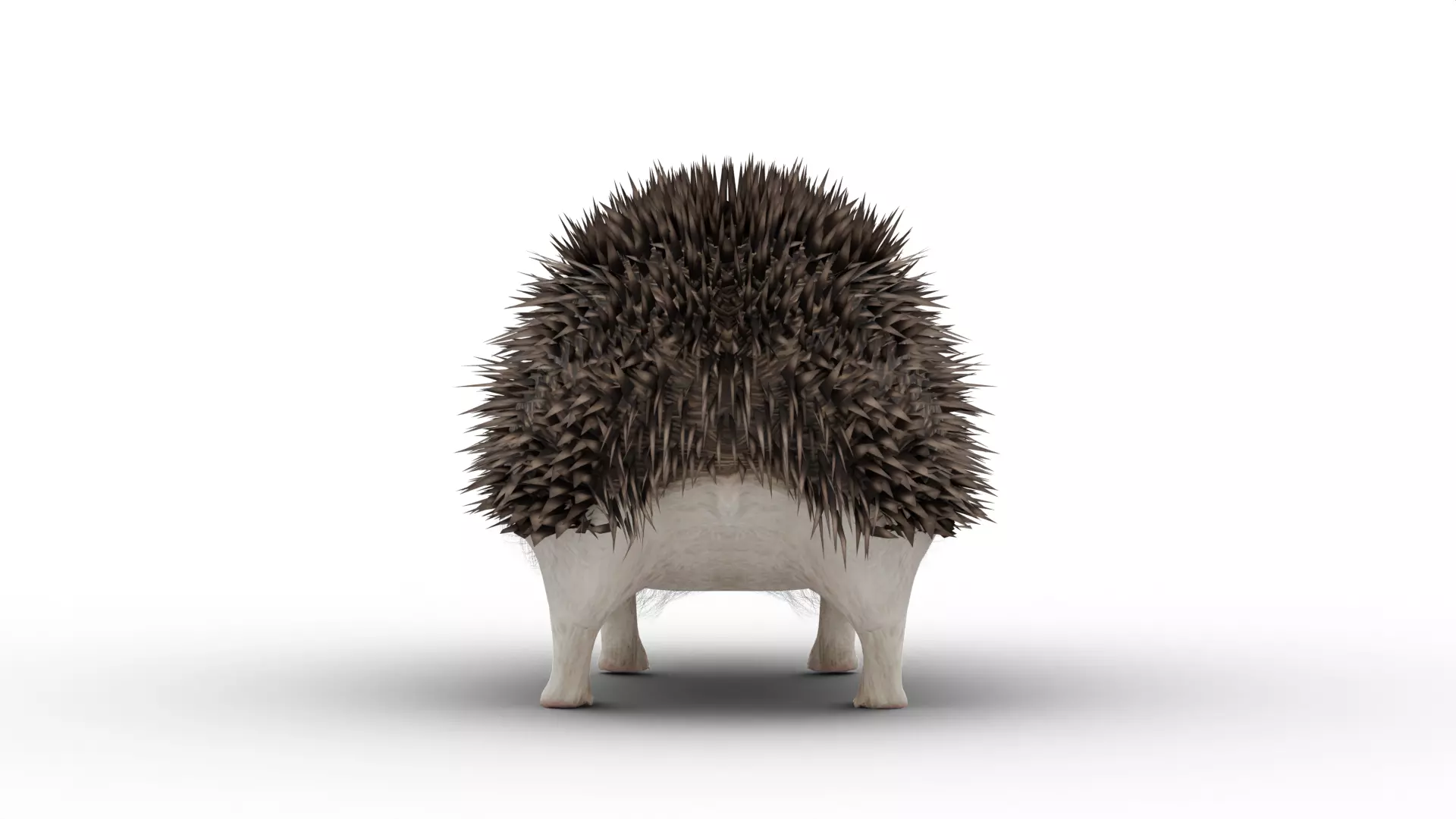 Hedgehog Low-poly 3D model_2