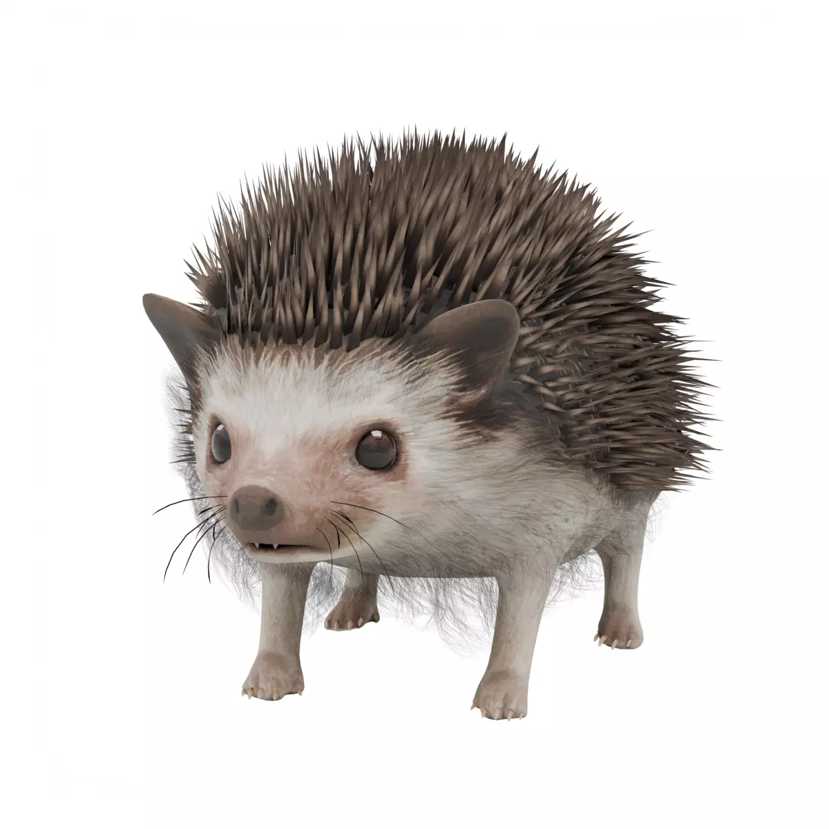 Hedgehog Low-poly 3D model_0