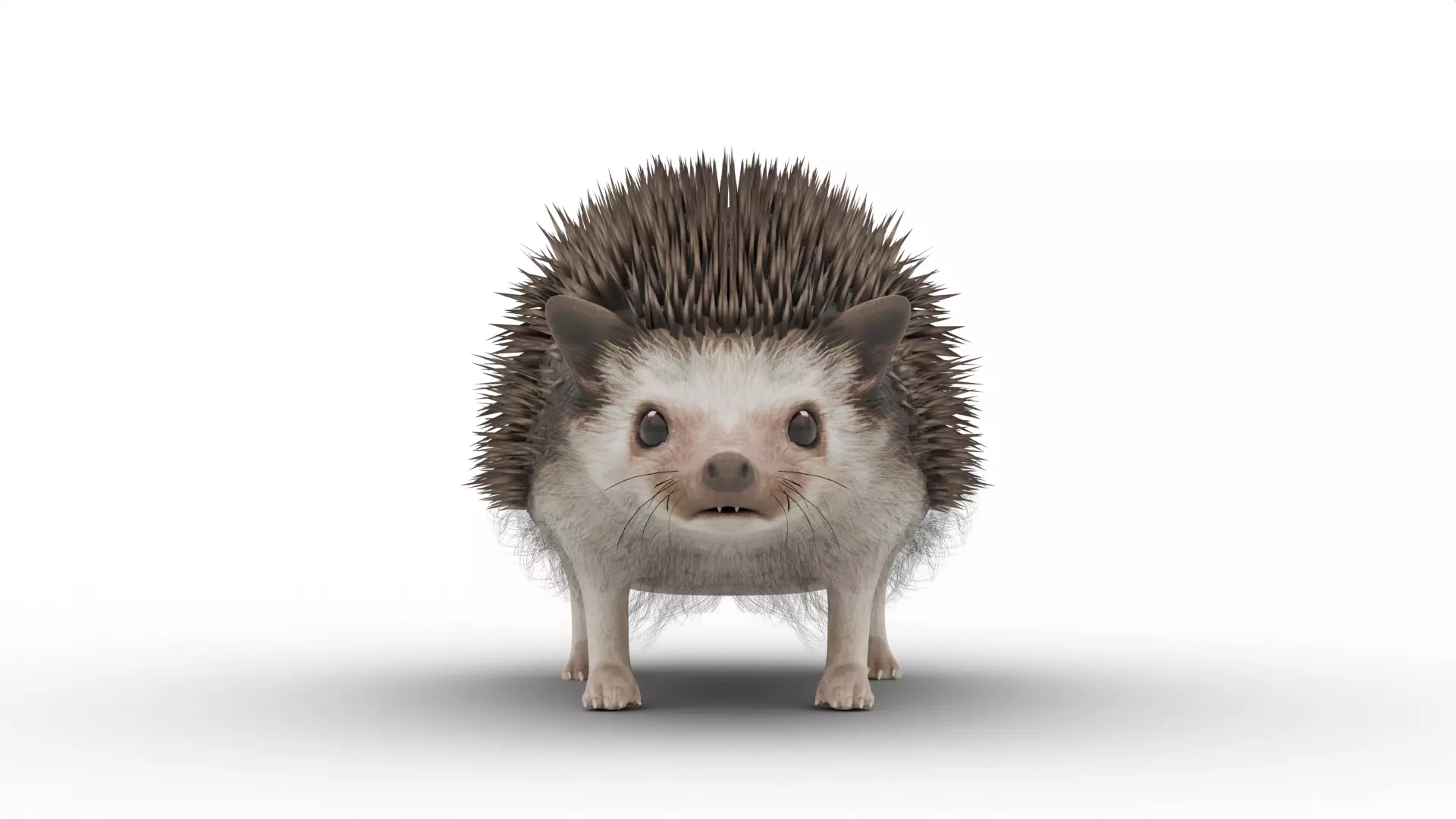 Hedgehog Low-poly 3D model_1