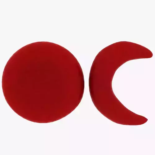 Red blood cell and sickle blood cell