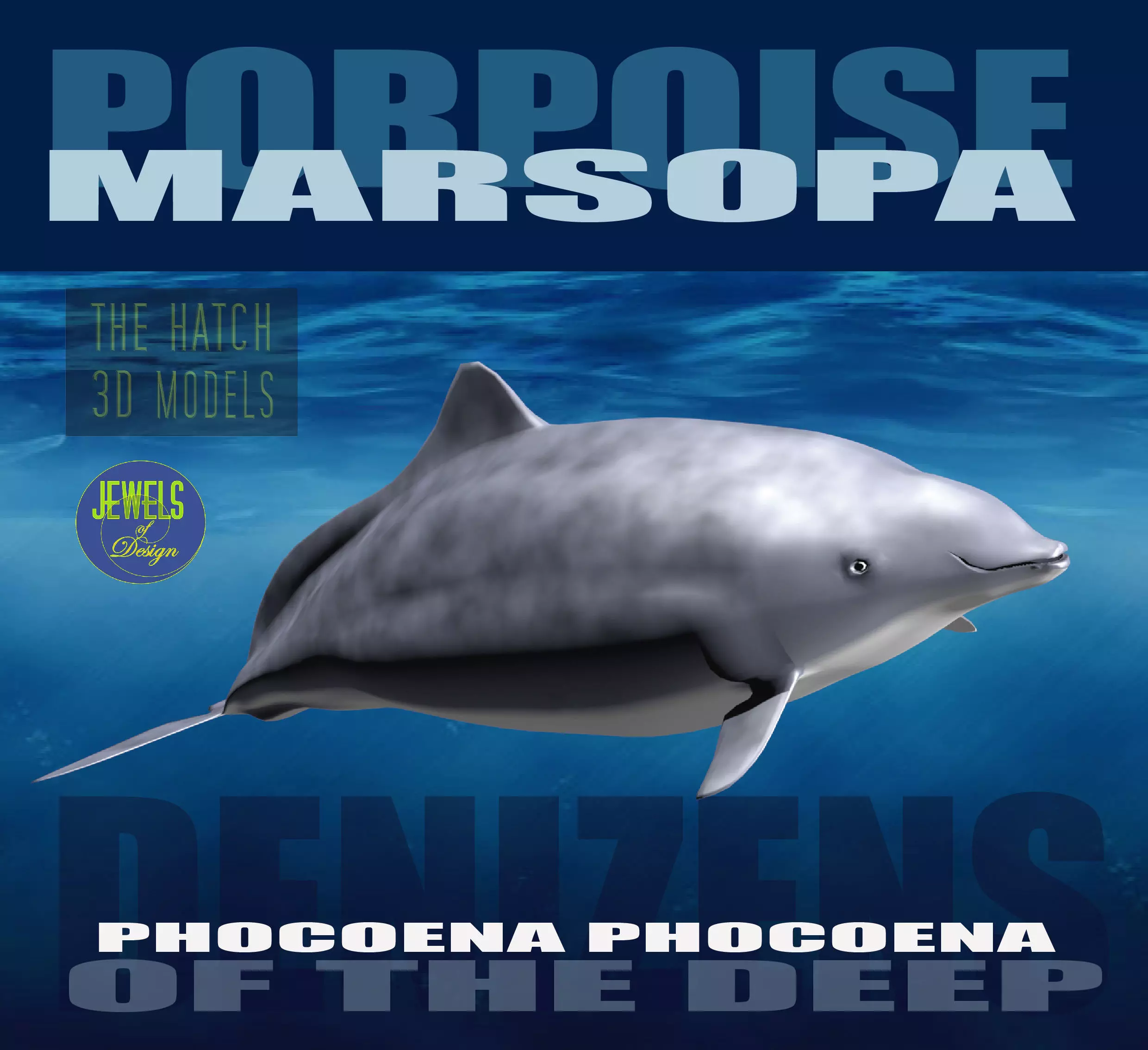 Porpoise orca whale 3D model_0