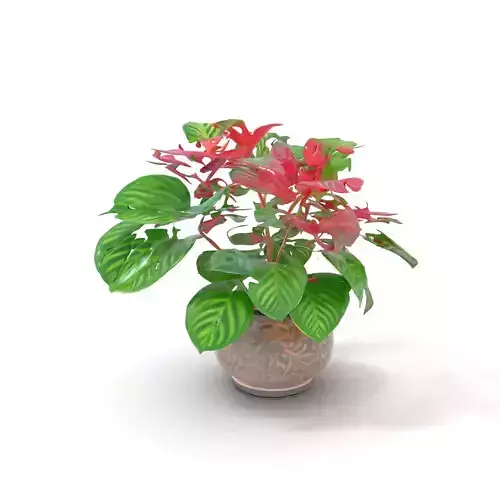 Vibrant Decorative Plant model pack