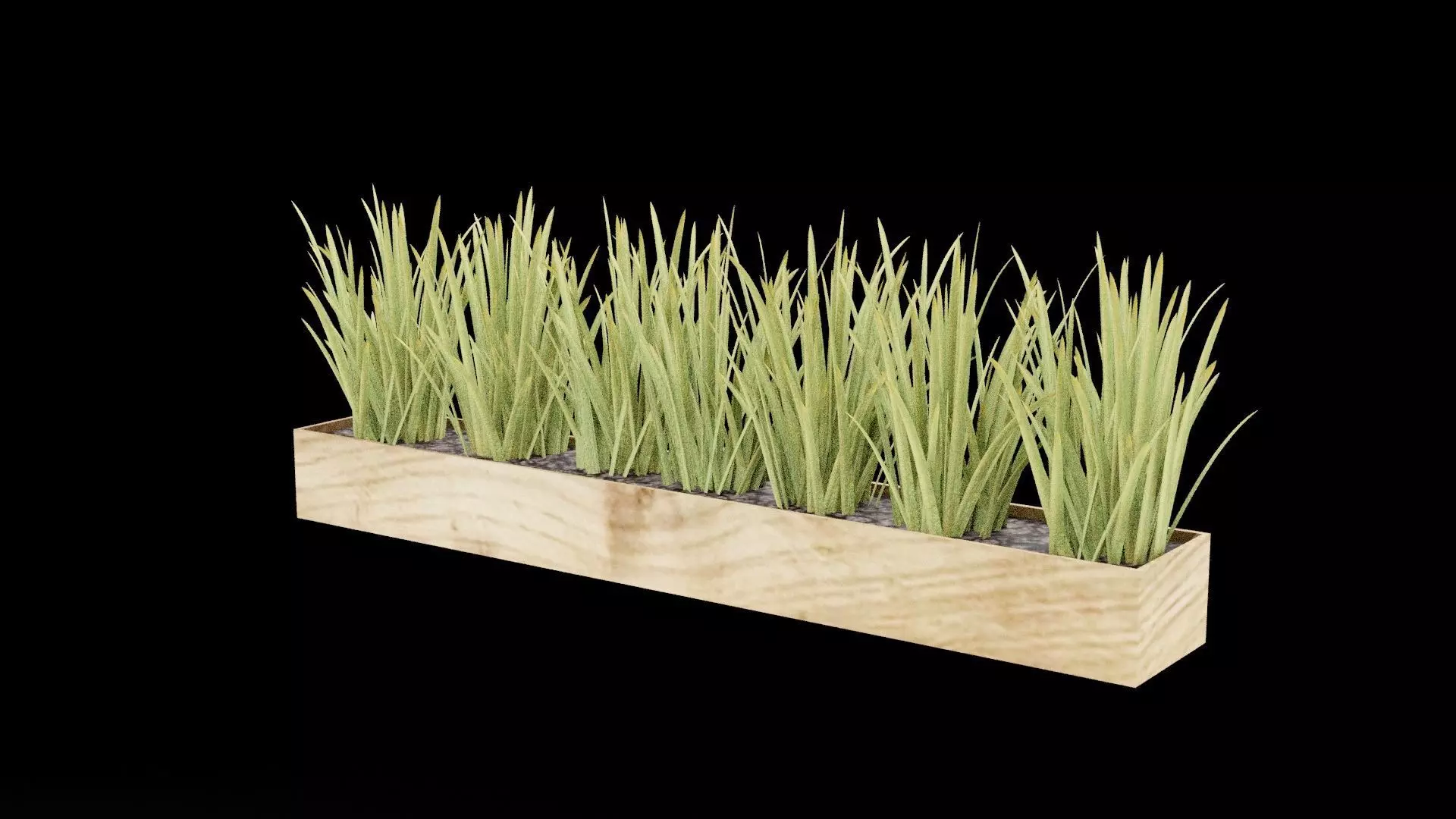 Rectangular Plant Pot Low-poly 3D model_8