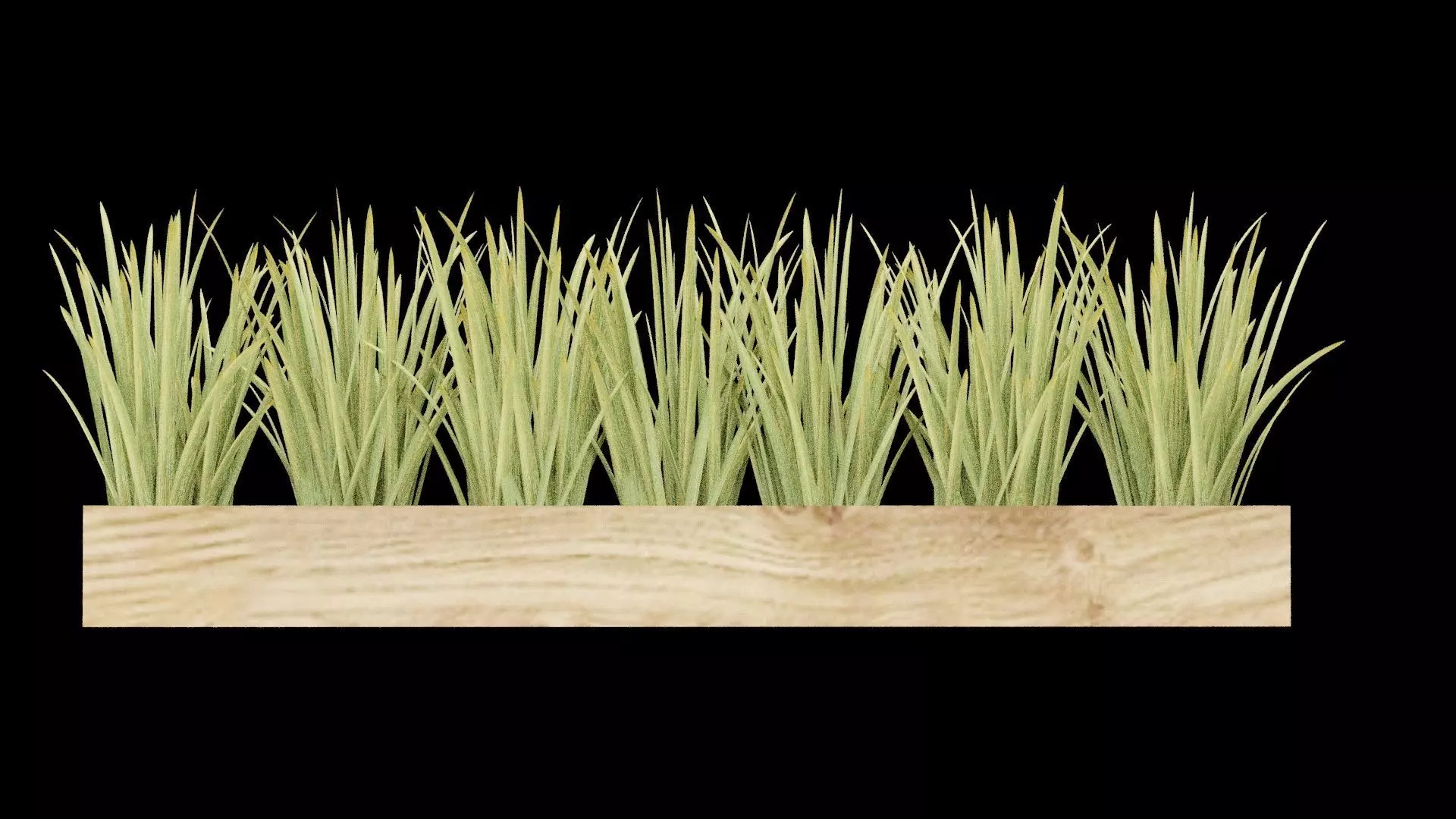 Rectangular Plant Pot Low-poly 3D model_2