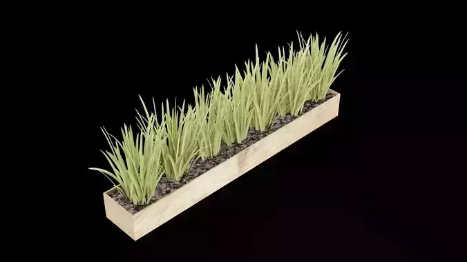 Rectangular Plant Pot