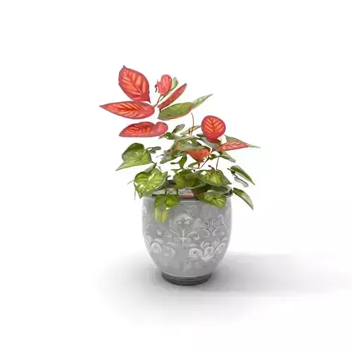 Intricate Planter with Vibrant Foliage model pack