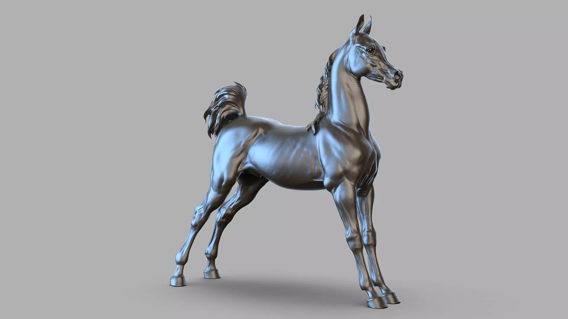 4 Arabian horse I 3D Sculpting 3D Model Collection_11