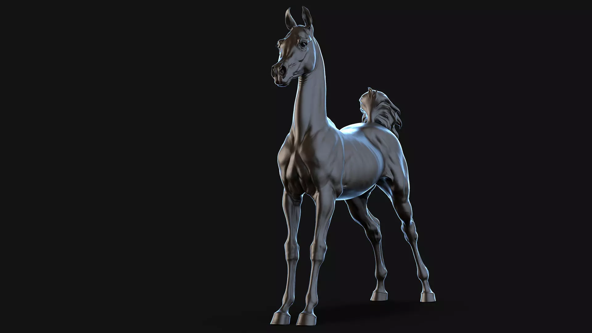 4 Arabian horse I 3D Sculpting 3D Model Collection_13