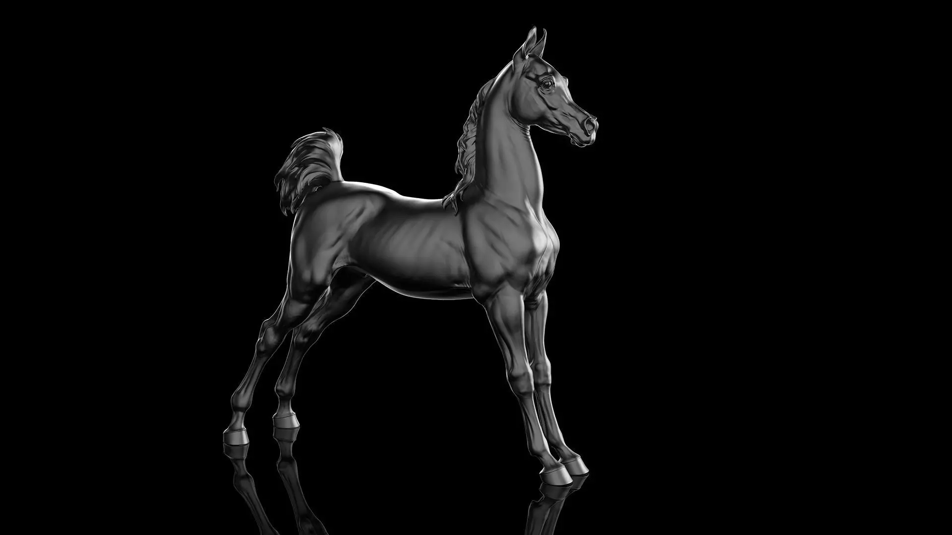 4 Arabian horse I 3D Sculpting 3D Model Collection_12