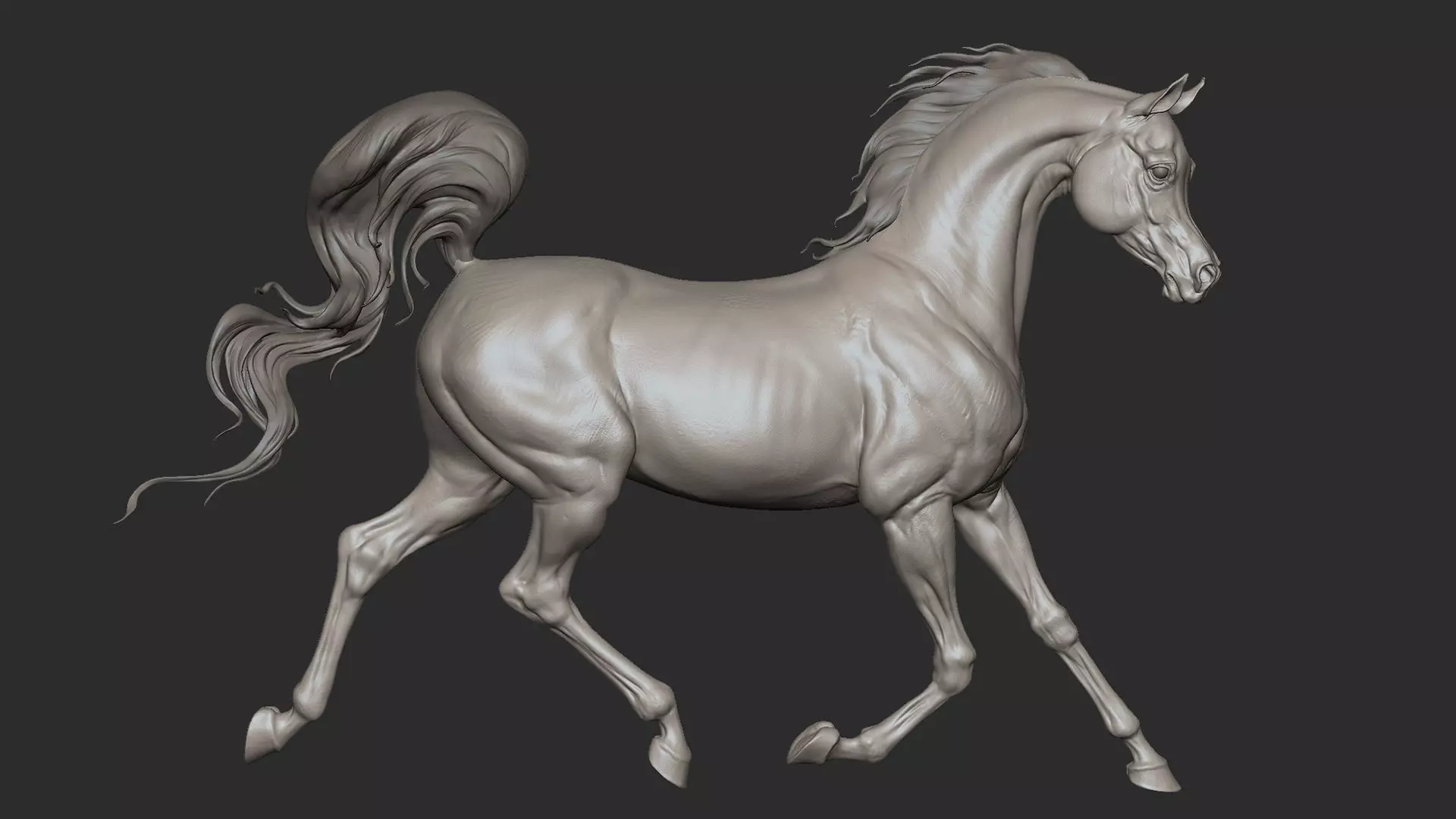 4 Arabian horse I 3D Sculpting 3D Model Collection_8